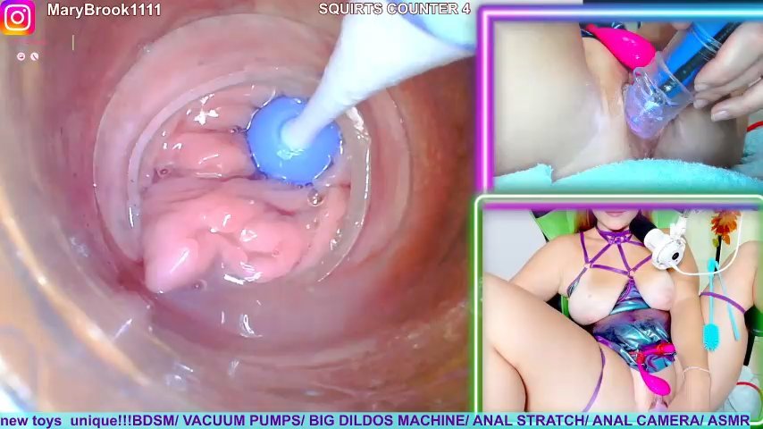 MaryBrook1 live cam screenshot female on Tip.show – Interactive Live Cam Shows — screenshot #3