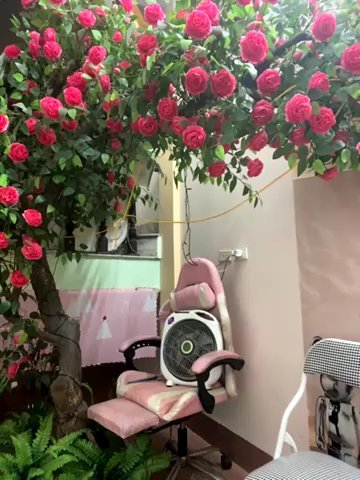 Bollozzy_89 live cam screenshot female from Vietnam on Tip.show – Interactive Live Cam Shows — screenshot #1