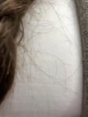 FroggyAnna live cam screenshot malefemale on Tip.show – Interactive Live Cam Shows — screenshot #1