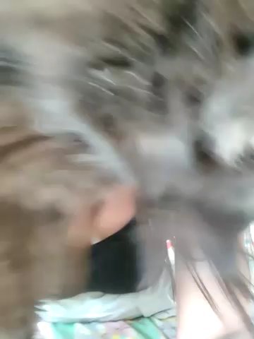 Excitedcouple06 live cam screenshot female from Turkey on Tip.show – Interactive Live Cam Shows — screenshot #1