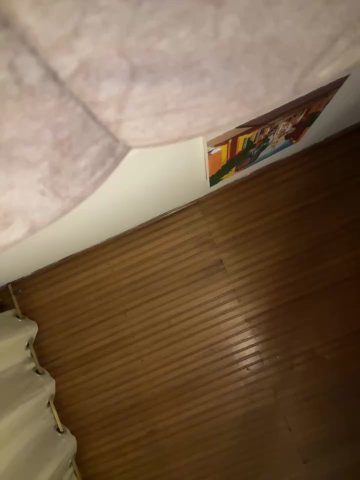 AgathaGeorgiou live cam screenshot malefemale on Tip.show – Interactive Live Cam Shows — screenshot #2