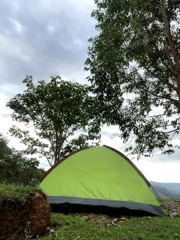 sky-wolves live cam screenshot males on Tip.show – Interactive Live Cam Shows — screenshot #1