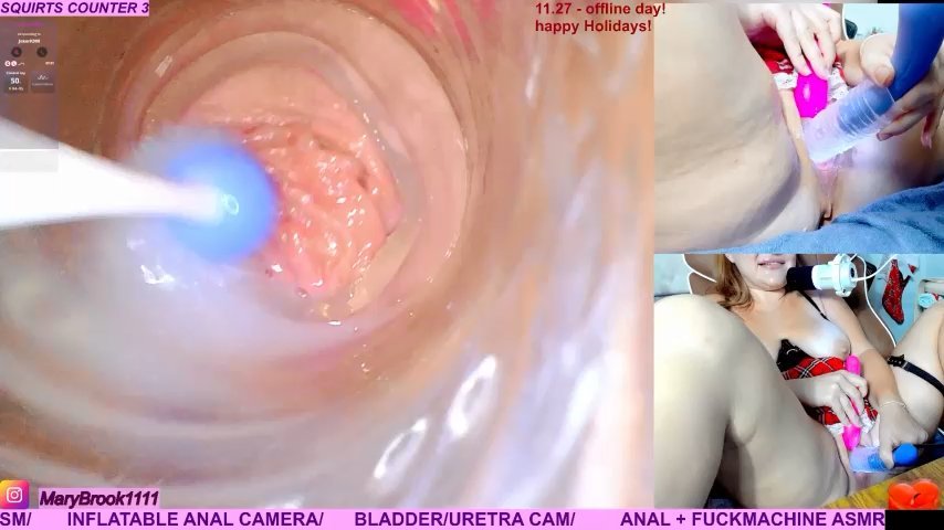 MaryBrook1 live cam screenshot female from United States on Tip.show – Interactive Live Cam Shows — screenshot #2