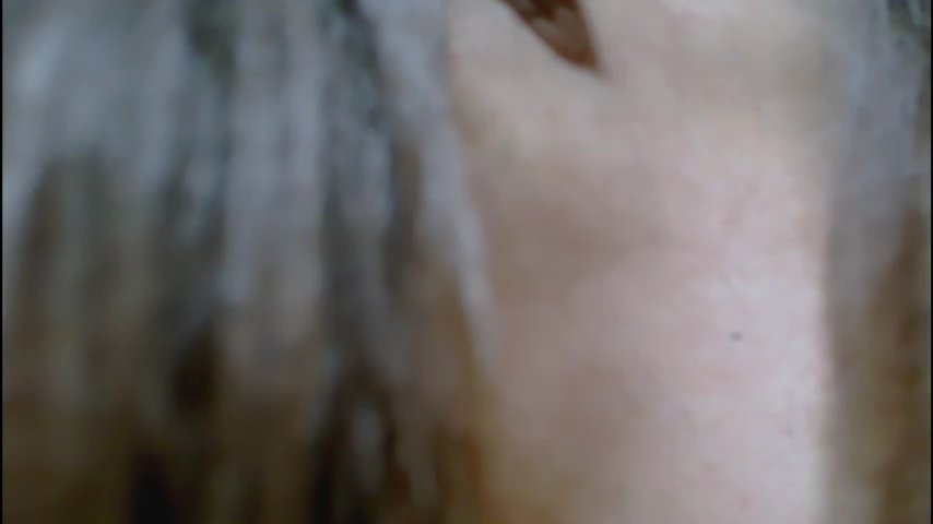 VanillaSeXy live cam screenshot maletranny from Turkey on Tip.show – Interactive Live Cam Shows — screenshot #1